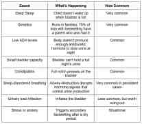 Table showing causes of bedwetting including deep sleep, genetics, low ADH levels, and sleep-disordered breathing with explanations and frequency.