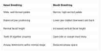 Comparison chart listing the differences between nasal breathing and mouth breathing on palate shape, jaw position, facial height, teeth bite alignment, and airway space.